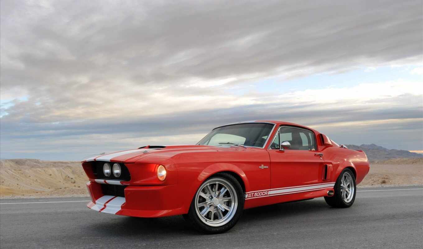car, ford, mustang, shelby