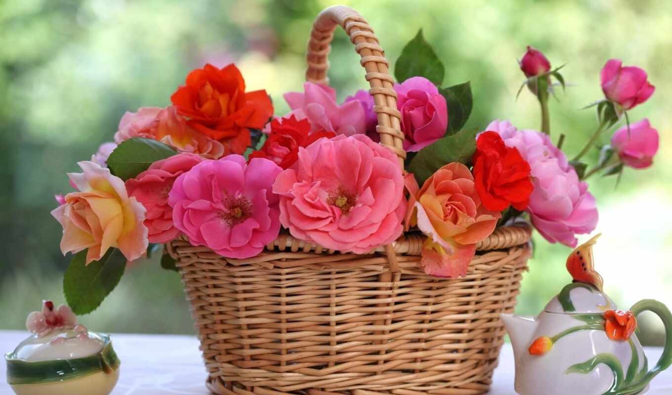 flowers, rose, basket