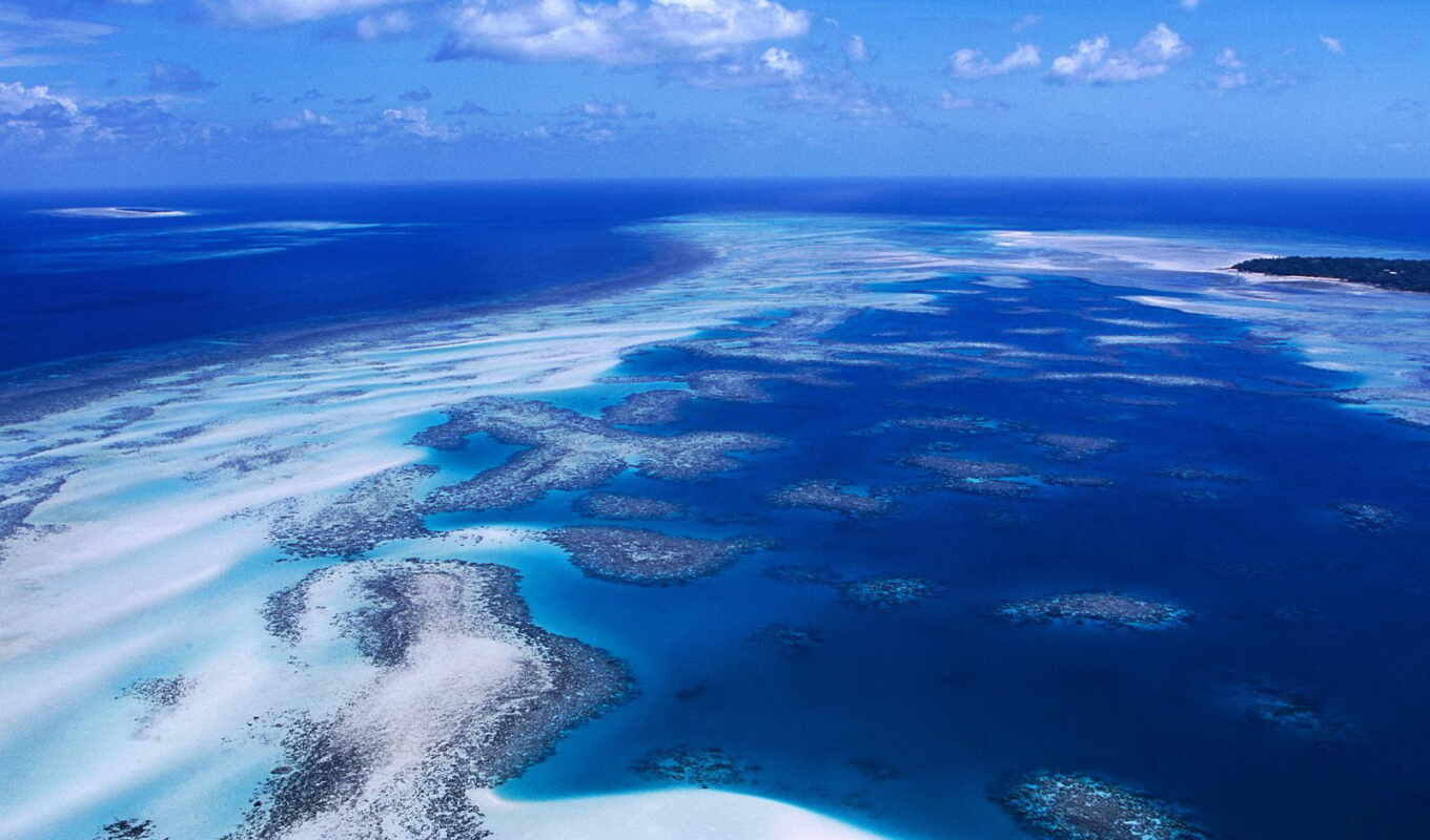 австралия, риф, coral, arrecifes