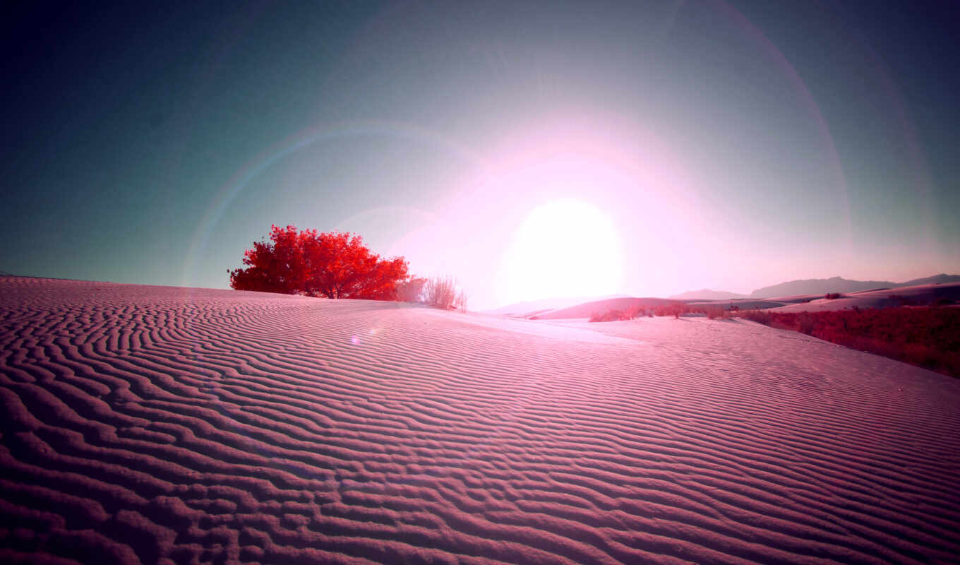 background, screen, sol, of, nature, pink, sunset, shaft, desierto, image, solitario