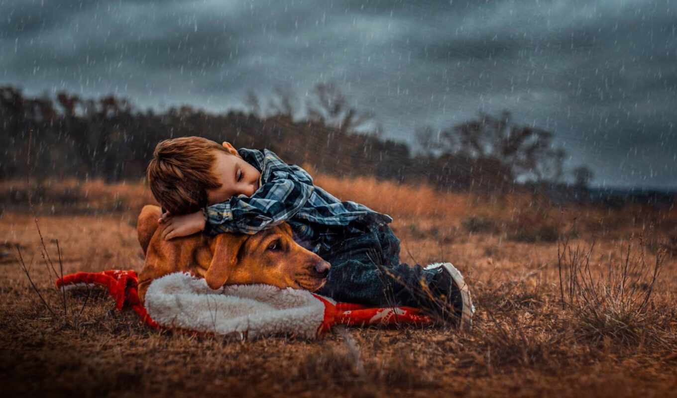 rain, friendship, dog, friend, boy, value
