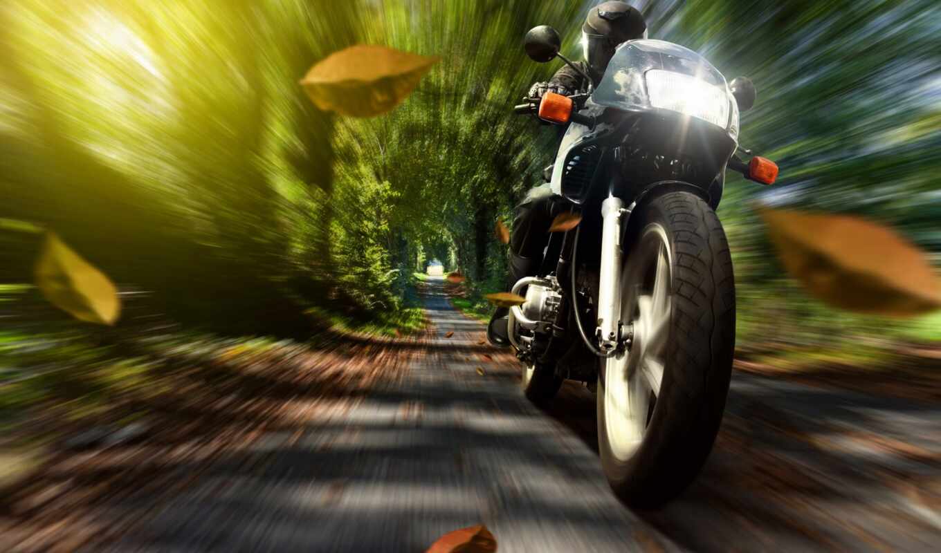 nature, picture, bike, autumn, foliage, motorcycles, speed, motorcycle, helmet