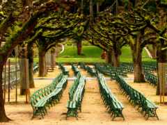 есть много зеленых скамей, выстроенных в парке