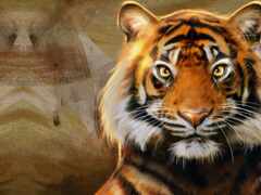тигр, бенгальский, кот