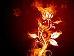 огонь, цветы, искусство