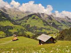 горы с несколькими домами на переднем плане и несколькими деревьями на переднем плане