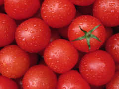 томатов, помидоры