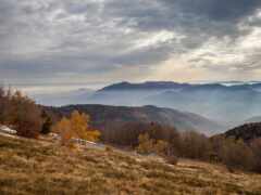 горы с несколькими деревьями и несколькими коровами на холме