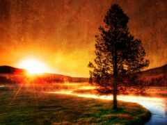 женская фотография дерева в поле с озером на заднем плане