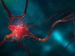 нейрон, limfomyi, красивый