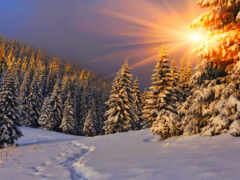 зима, солнце, снег