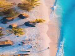 вид с воздуха на пляж с пальмами и людьми на нем