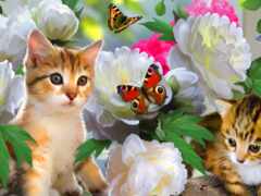 кот, бабочка, цветы