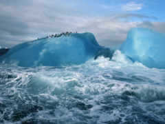 айсберг, югу, остров