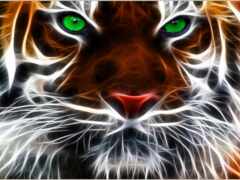 тигр, животное, фрактал