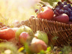 фрукты, производить, свежие