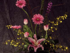 цветы, цветок 16232