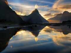 zealand, new, звук