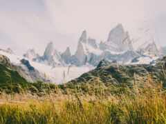 высокая трава перед горным хребтом со снежными вершинами