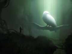 есть птица, сидящая на ветке в темноте