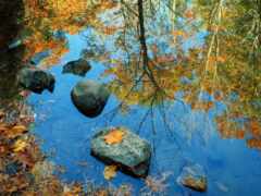 осень, воде, отражение