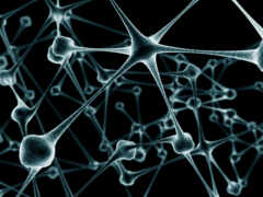 нейрон, абстракция, white