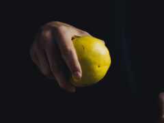лимон, лимон, плод