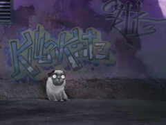 граффити на стене позади собаки