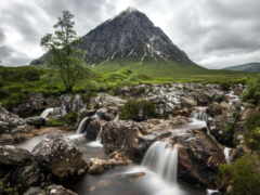 etive, buachaille, значок