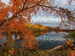 krajina, podzim, река