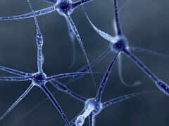нейроны, клетки