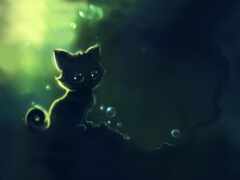 кот, черный, симпатичный