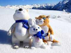 в снегу сидят три чучела животных