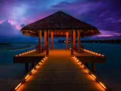 maldive, fond, пляж