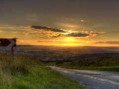 закат над извилистой дорогой со знаком, указывающим в противоположных направлениях