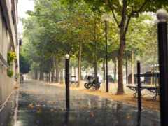 тротуар, дождь, улица