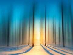 размытое фото леса с заходом солнца вдали