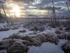 зима, прежде всего, фото