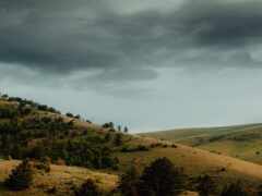 есть лошадь, которая стоит в траве на холме