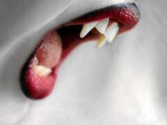 вампир, зубы, rot