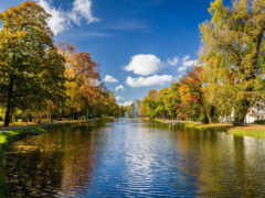 деревья выстилают реку в парке с голубым небом