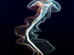 дым кружится в воздухе на черном фоне