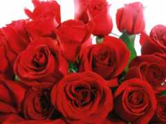 большой букет красных роз на белом столе