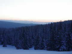 лыжники катаются на лыжах вниз по снежной горе с деревьями на заднем плане