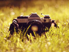 трава, фотоаппарат
