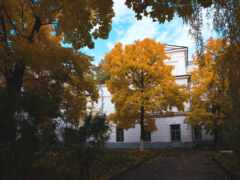 фото, черкассы, россия