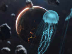 medusa, pantalla, id