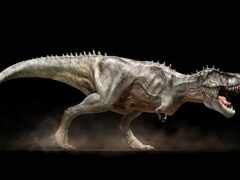 trex, динозавр