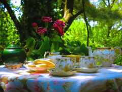 есть много чашек и блюдца на столе снаружи