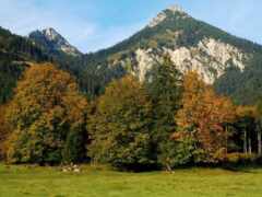 австрия, гора, природа